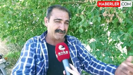 Manisa'da Çiftçiler Özel Firmaların Fiyat Politikasına Tepki Gösterdi