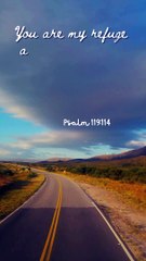 Psalm 119