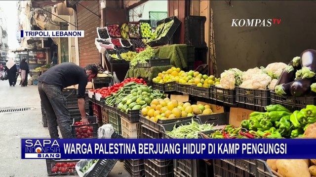 Hidup di Kamp Pengungsi Baddawi Lebanon, Begini Perjuangan Hidup Warga Palestina