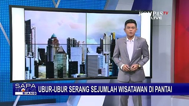 Ubur-Ubur Muncul ke Tepi Pantai Teluk Penyu Cilacap, Sengat Wisatawan