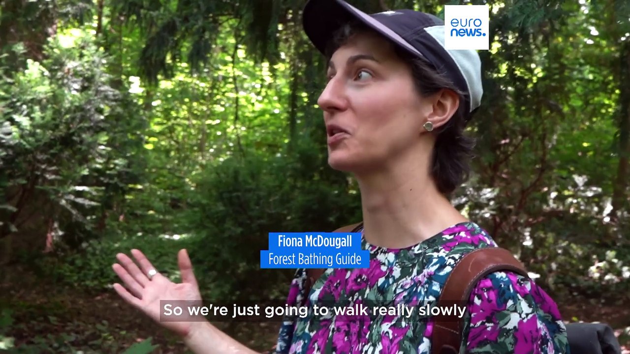 Forest bathing: A solution to sticky summers in Europe's cities