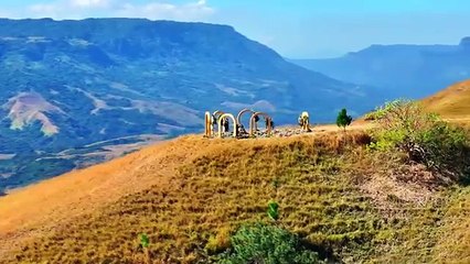 Kendall Love Island Usa Twitter Leak Reddit