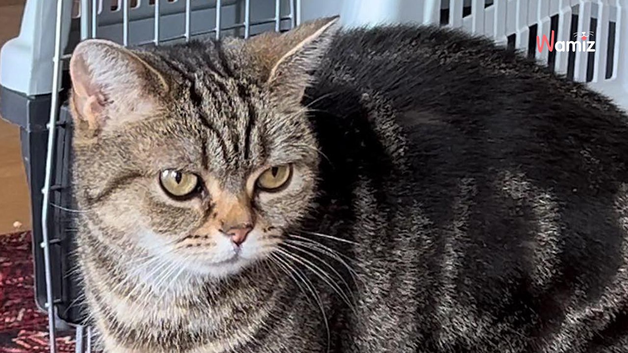 Ma maman va bientôt partir au paradis et elle aimerait me trouver une bonne famille avant son départ...