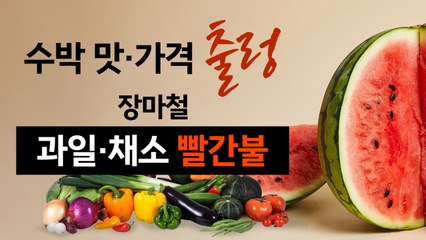 비에 수박 맛도 가격도 '출렁'...장마철 과일·채소 빨간불 [앵커리포트] / YTN