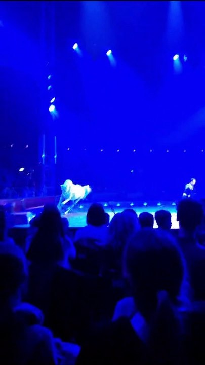 Caballo Blanco Circo