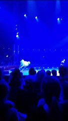 Caballo Blanco Circo