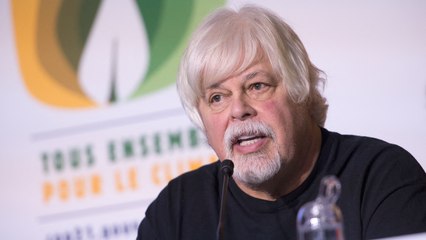 Le fondateur de l'ONG Sea Shepherd arrêté au Groenland