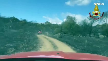 Incendio nel Nuorese, oltre 450 ettari distrutti dalle fiamme