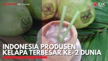 Indonesia Produsen Kelapa Terbesar ke-2 Dunia