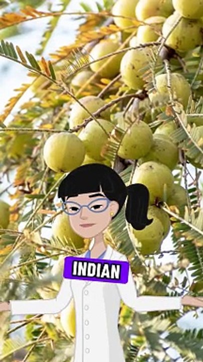 Anti-Aging Benefits of Amla( Indian Gooseberry)