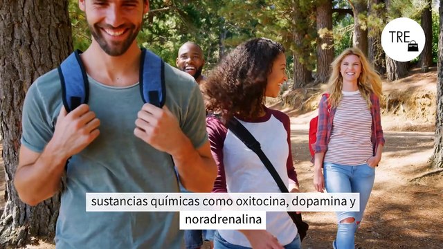 Las señales que indican que hay tensión sexual entre dos personas