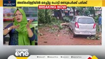 തൃശ്ശൂരിൽ കാറിന് മുകളിൽ മരം വീണ് രണ്ടുപേർക്ക് അപകടം