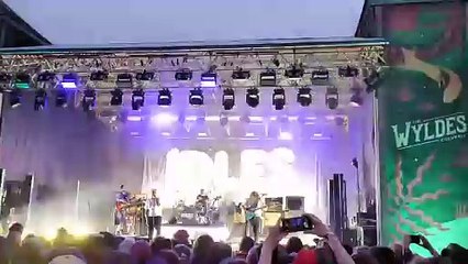 The Idles at the Wyldes