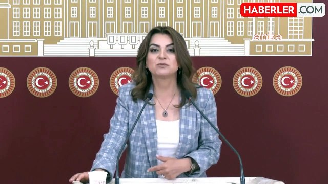 DEM Parti Grup Başkanvekili Gülüstan Kılıç Koçyiğit: Emeklilere kaynak bulamıyorlar