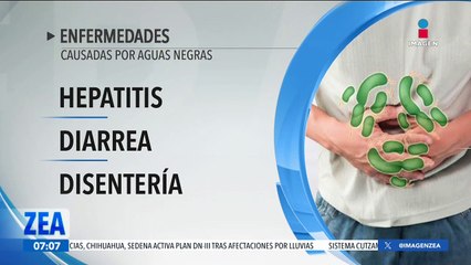Cólera y hepatitis, enfermedades por agua contaminada