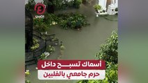 أسماك تسبح داخل حرم جامعي بالفلبين