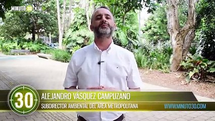 Lo iban a traficar!  Ciudadano entregó un mono aullador bebé que compró en el municipio de Jardín, Antioquia