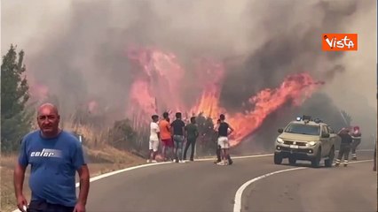 Incendi Oristano, Mariafrancesca Serra (Coldiretti): Oggi Sardegna piange, in fumo nostri sacrifici