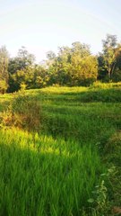 This my vallage vary beautiful