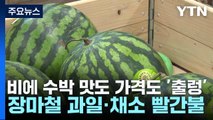 비에 수박 맛도 가격도 '출렁'...장마철 과일·채소 빨간불 / YTN