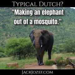 #007 - Typical Dutch? - "Making an elephant out of a mosquito. "