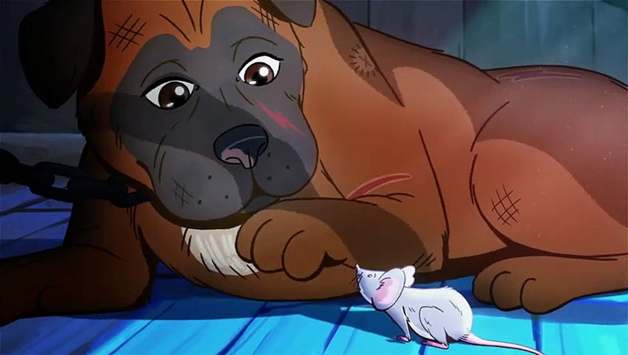 RSPCA campaign