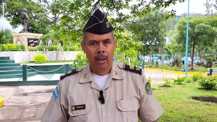 La fuerzas armadas incautan 60 mil plantas de marihuana