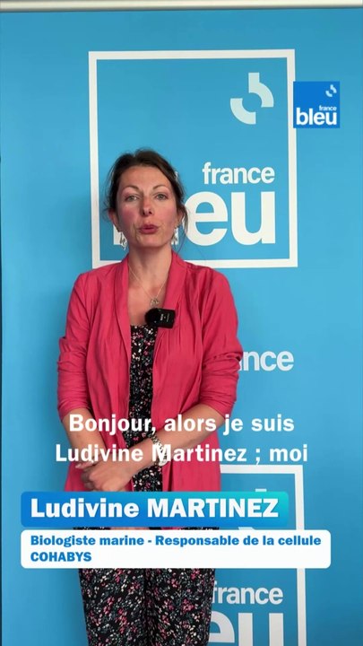 Conférence des Nations Unies sur l'Océan 2025 : le message de Ludivine Martinez, chercheuse en écologie marine à l'Université de La Rochelle