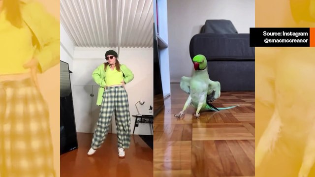 Hauska video näyttää naisen ja linnun koreografian Michael Jacksonin musiikin tahtiin