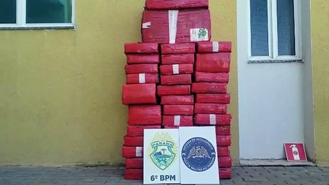 Cerca de 400 quilos de maconha são apreendidos no Parque São Paulo