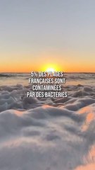 Quelles sont les plages à éviter en France ?! ️☀️
