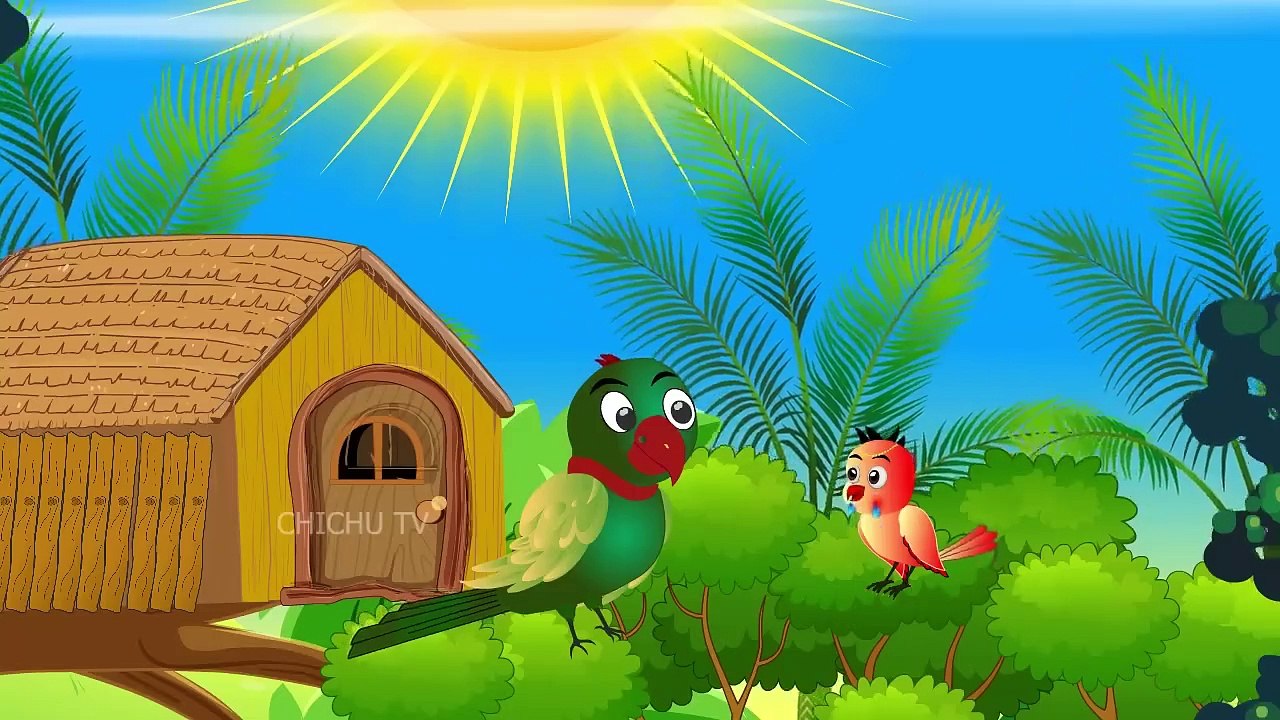 Chidiya Wala Cartoon _ Episode New _ Tuni Achi Cartoon# Chichu TV