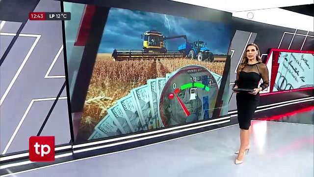 Ante caída de producción de sorgo no se podrá cubrir faltante de maíz, advierte Anapo