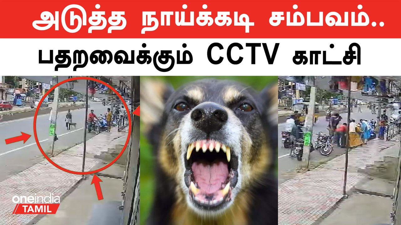 மாணவியை நாய் கடித்த CCTV காட்சி | Palani Dog Bite | Oneindia Tamil