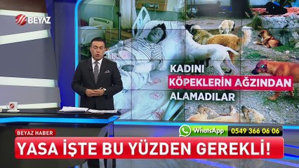 Beyaz Ana Haber 22 Temmuz 2024