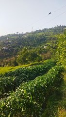 "Transforming Dreams into Reality."