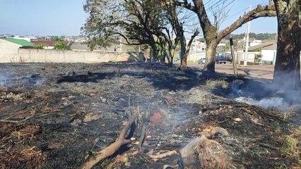 Incêndio em vegetação é registrado na Avenida Corbélia