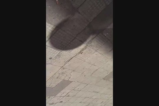 Picchiato per aver chiesto di legare il cane, parla l'avvocato: Aggressore toro infuriato, l'hanno lasciato andar via - Video