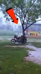 Don't stand under tree while raining