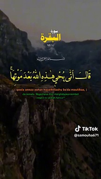 بسم الله الرحمن الرحيم