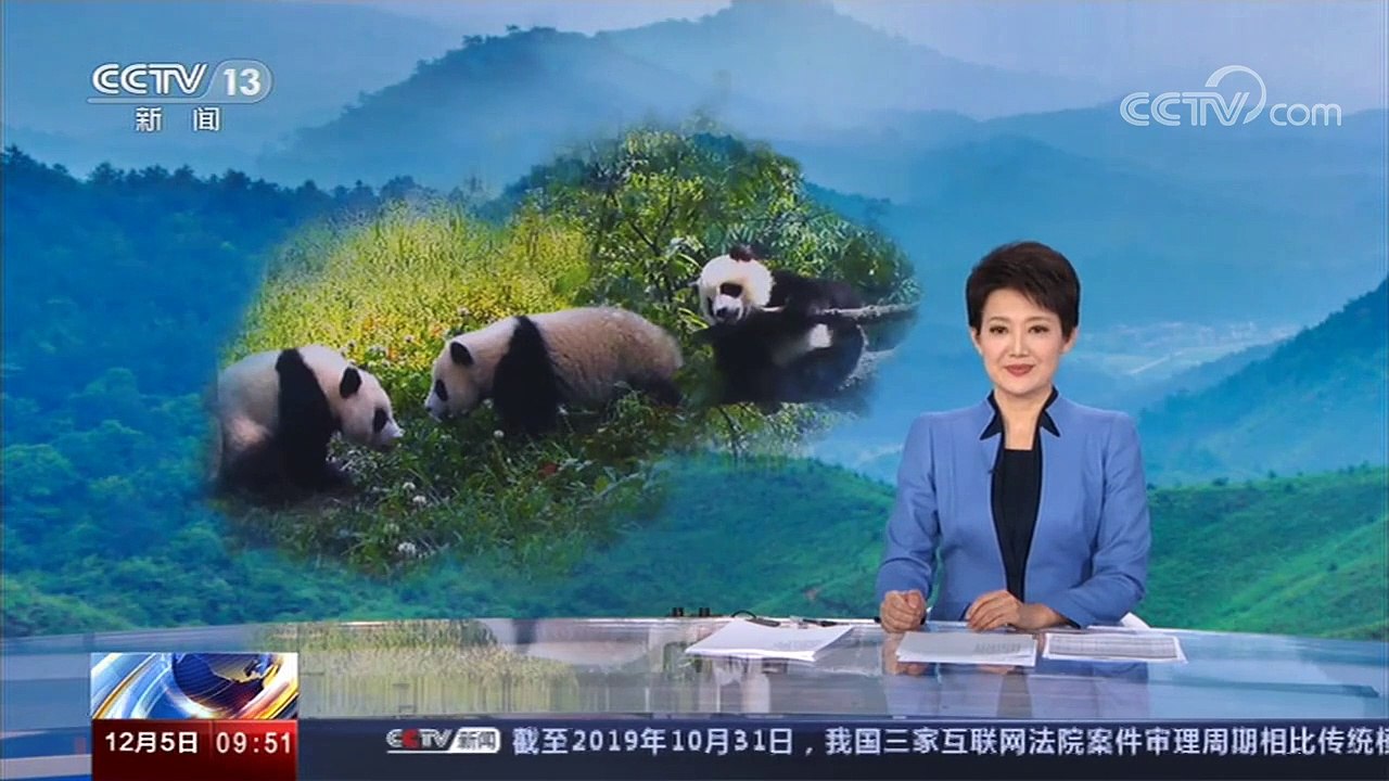 喜大普奔！江西迎来大熊猫首次野外放归