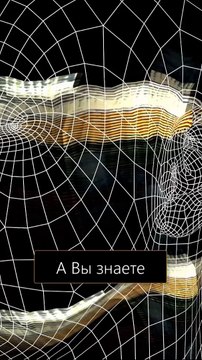 #нейросеть #stalker #сталкер #shorts