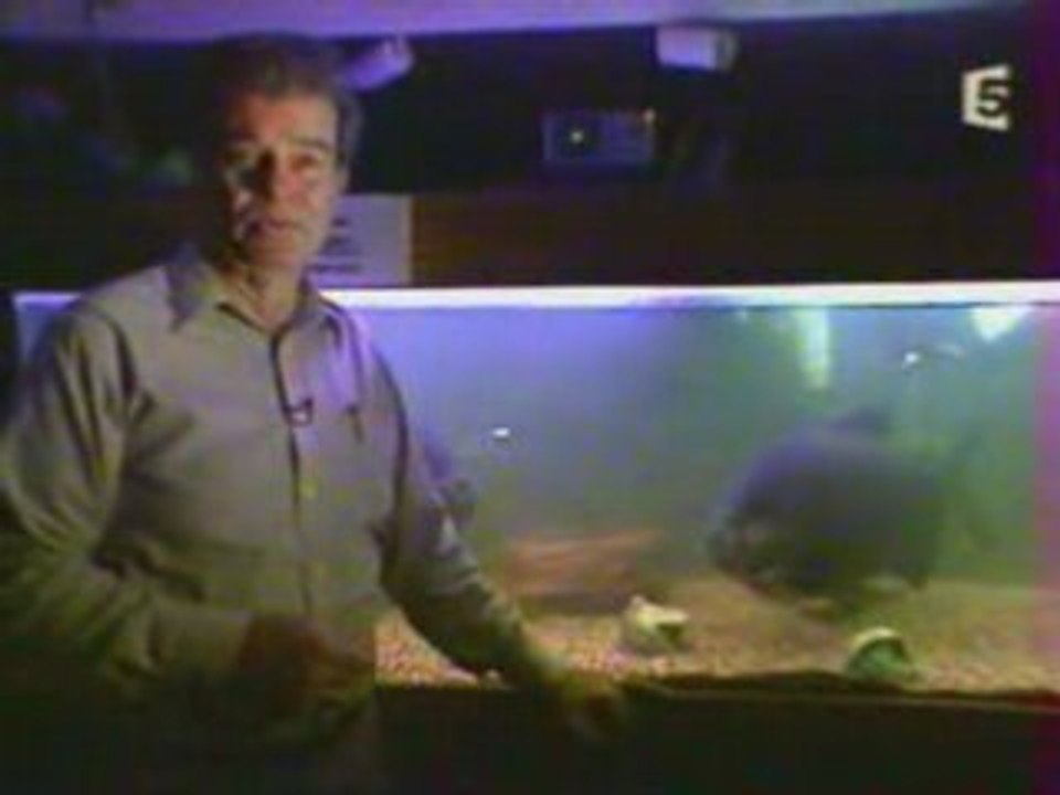 Superscience - Le Mythe Des Geants-Partie3