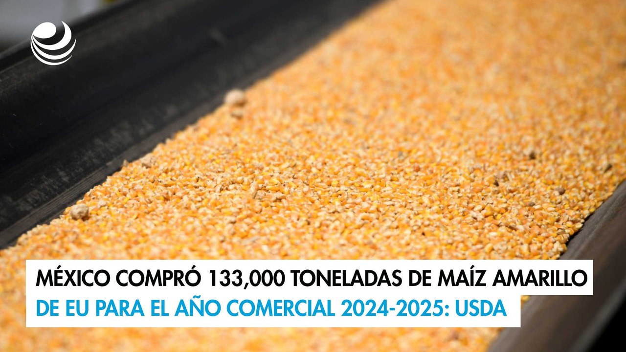 México compró 133,000 toneladas de maíz amarillo de EU para el año ...