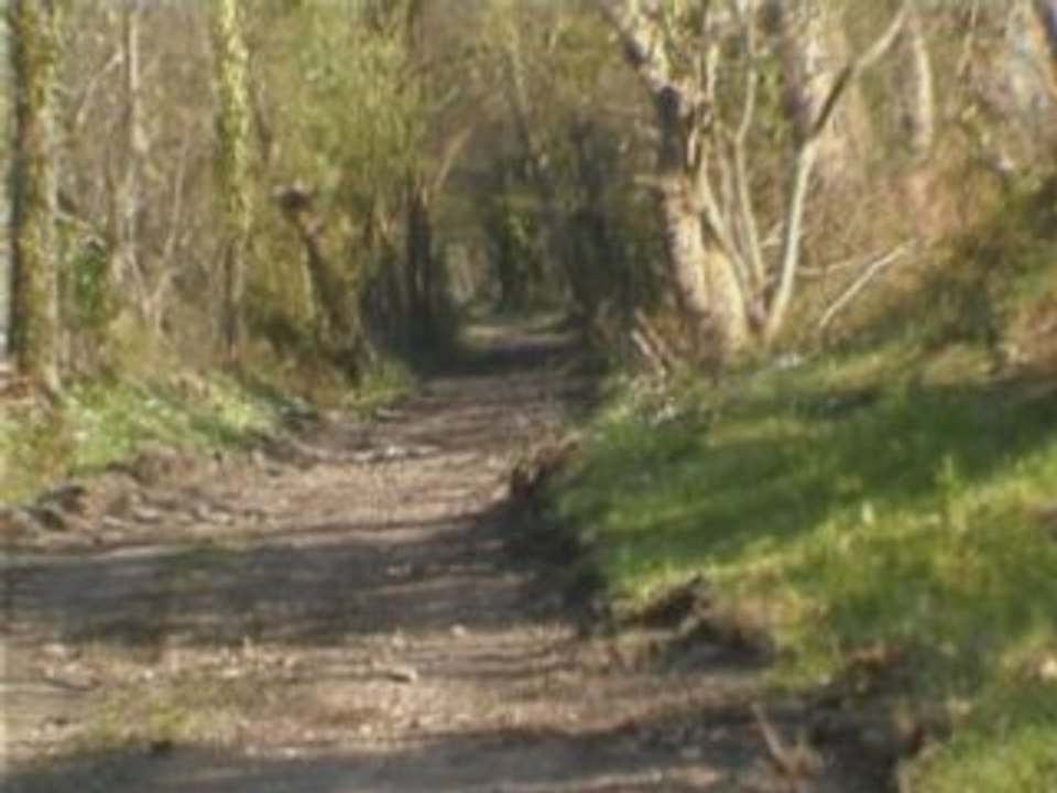 super video motocross pds st malo