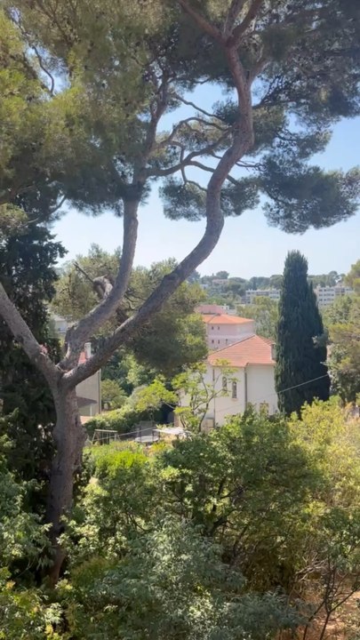 LE SON DES VACANCES : les cigales toulonnaises