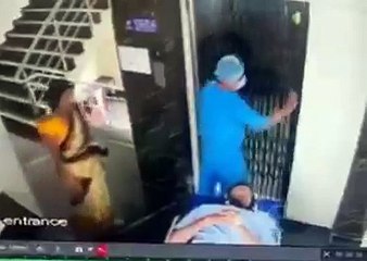 ¿Qué hacer si estás atrapado en un elevador? Consejos y pasos a seguir 🚨