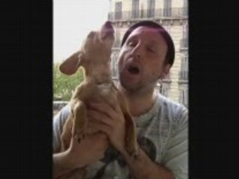 Saucisse le chien qui chante