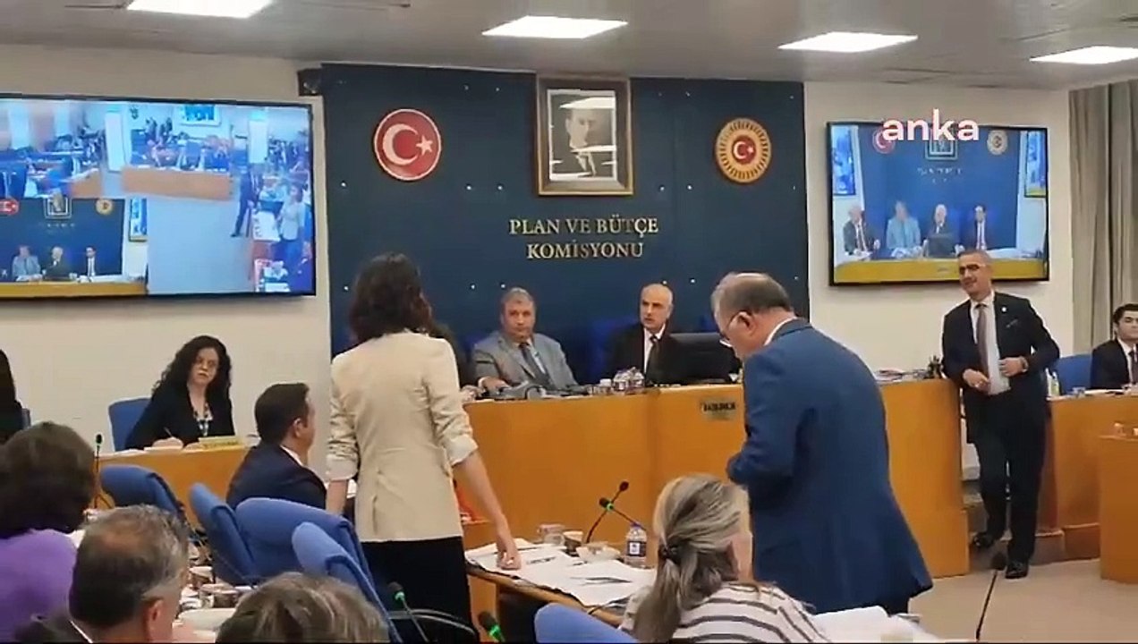 Sera Kadıgil, Meclis raporunu Kirişci'nin önüne attı: Al sana çözüm