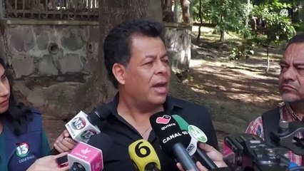 Esta semana dictamen quien es el responsable del socavón que se formó junto al mercado de las Flores